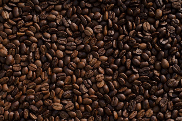 Coffee Cup